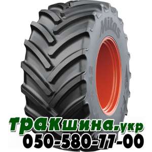 ✅ ������ �������� ���� �� ������ ����. ��������-������� ✅ ��������.��� - ����������� 1