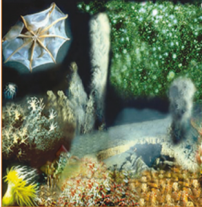 Abyssine - 100 ����� - ����������� 1