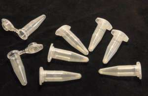 Achaslim � ������������������ ����� ����������� ��������������� ��������� �� ����� �� ����� ���� � ����� ����. - ����������� 1