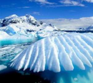 Antarcticine (�����������) ������ - ����������� 1