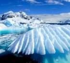 ������� � ����������: Antarcticine (�����������) ������