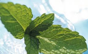 Calmiskin (���������) - ����������� 1