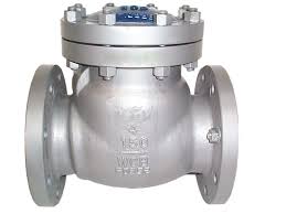 CHECK VALVES IN KOLKATA -  1