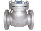   : CHECK VALVES IN KOLKATA