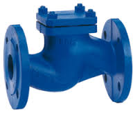 CHECK VALVES SUPPLIERS IN KOLKATA -  1