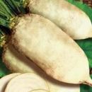 ������� � ����������: Cy�����, �������, �����