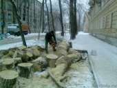 ������� � ����������: C��� ��������