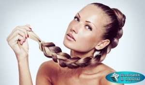 C���� ������� �������������� - ����������� 1