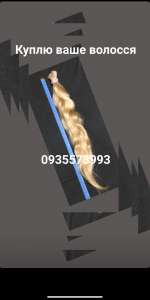 C����� ������� ��� �� ��� ������ - ����������� 1