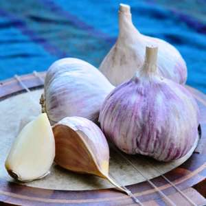 C����� ������� (��������) ������ - ����������� 1