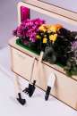 EcoBloom Smart Garden    -  3