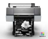 ������� � ����������: Epson SureColor SC-P6000 + �������� ���������� 700 �� C11CE41301A0