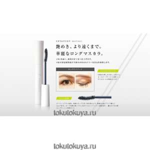 EYEMANIA �������� ���� (��������� � �����) - ����������� 1