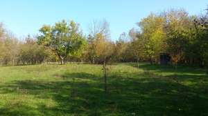 E������ � �����, �������� - ����������� 1