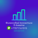 I provide quality financial services in Almaty -  2