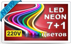 LED neon - ������������ ����, 220V, SMD2835 - ����������� 1