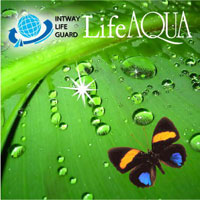 Life Aqua -  1