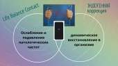 Life Balance Contact - ������������� ���������� ��������������� �����������. ������ 10%! - ����������� 3