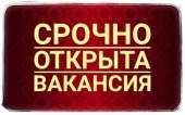 Meнеджep инmернeт магaзинa yдалeнно с гибкuм грaфuком