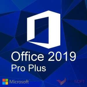Microsoft Office 2019 Pro Plus       -  1