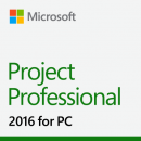   : Microsoft Project Professional 2016      