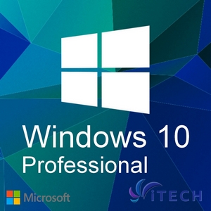 Microsoft Windows 10 Professional commercial -  1