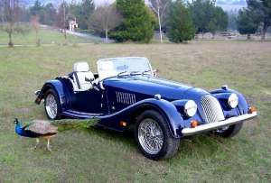 Morgan MG roadster -  1