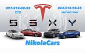 Nikolacars Tesla service -  2