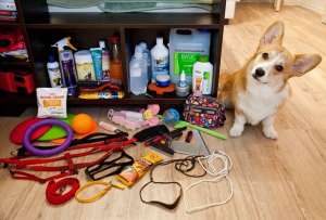 Online-����������� ���������� - ����������� 1