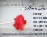 ������� � ����������: Pole Dance .Exotic pole. Twerk-���� ��������� ����