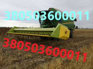 Sunfloro Classic ����� ��� ��������� - ����������� 1