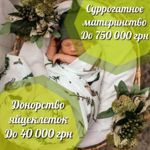 "SURmamka". ����� �����������. ����� ������� ���������� ������� - ����������� 1