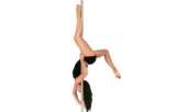  : Terola Pole Dance Class -      