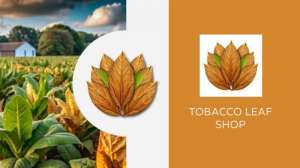 Tobacco Leaf Shop:     ! -  1