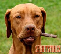 T�������� ����������� ����������. - ����������� 1