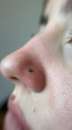 Vean Tattoo: , ϳ,  -  3