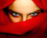 ������� � ����������: WhatsApp Viber Telegram +7(930)733-12-42 ���������� �������