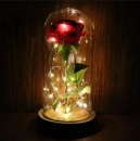 ������� � ����������: ³��� ������� � ������� ���� � ������������.