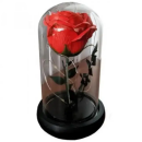 ³��� ������� � ������� ���� � ������������. - ����������� 2