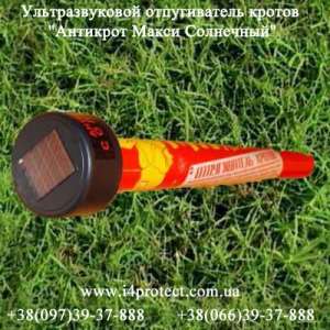 ³�������� ����� �� �������� �������� �� 8 ����� - ����������� 1