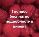 ÁÅÑÏËÀÒÍÎÅ ÃÀÄÀÍÈÅ ÎÒÂÅÒ ÍÀ ÎÄÈÍ ÂÎÏÐÎÑ ÏÐÈÂÎÐÎÒ ÎÑÒÓÄÀ ÑÍÈÌÓ ×ÓÆÓÞ ÌÀÃÈÞ ÒÀÐÎ ÁÅÑÏËÎÄÈÅ ÎÄÍÎÏÎËÀß ËÞÁÎÂÜ