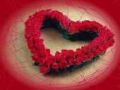 ÏÐÈÂÎÐÎÒ. ÌÀÃÈ×ÅÑÊÀß ÏÎÌÎÙÜ ÊÈÅÂ. ÁÈÇÍÅÑ ÌÀÃÈß ÊÈÅÂ