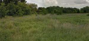 ĳ����� �� �������� � ������ �������� �� �������, ������ - ����������� 1