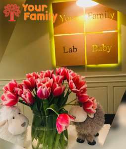 ĳ��������� �� �������� � Your Family! - ����������� 1