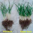 "˲���+" ��������� ����� ������ ������ �������� - ����������� 3