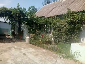 ̳��-��������� ����������� ���. ����������� �-� �. ����� - ����������� 1