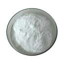 ͳ��������