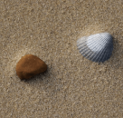 ϳ��� ������� �� ������� ��������� � �������. - ����������� 3