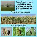 Авиахимическая обработка полей, Украина. Прочие услуги - Услуги