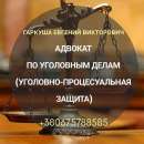 Перейти к объявлению: Адвокат по уголовным делам в Киеве.
